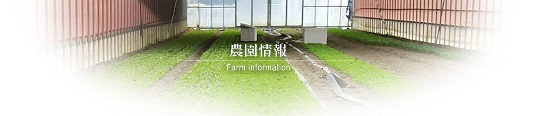 農園情報