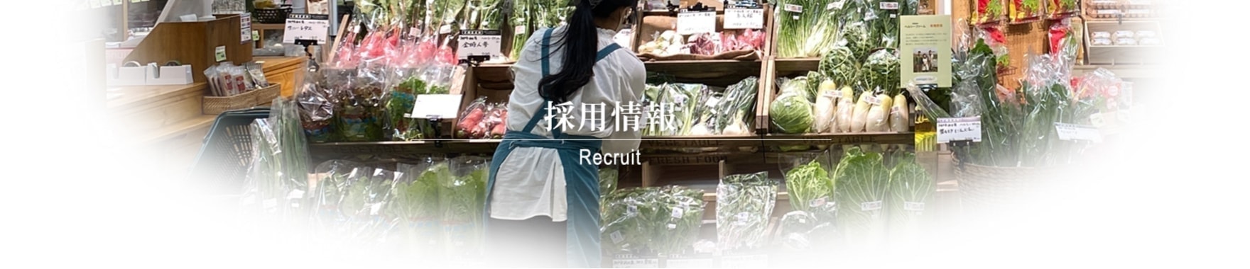 採用情報