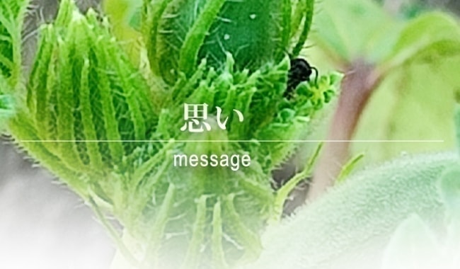 思いメッセージ