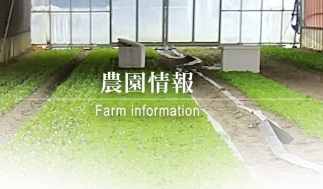 農園情報