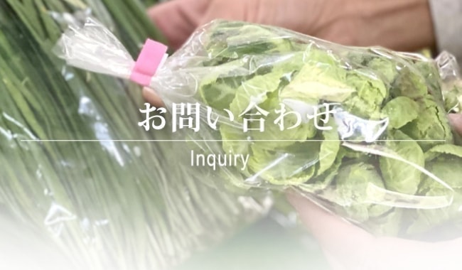 お問い合わせ
